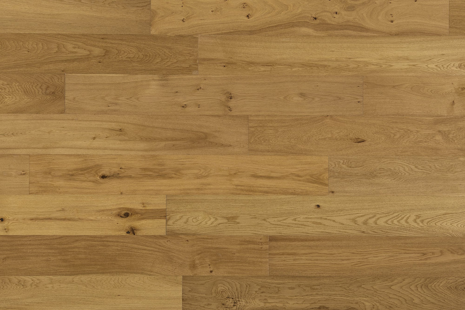 Estuary