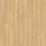 Timber Design