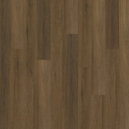 ProSolutions 6