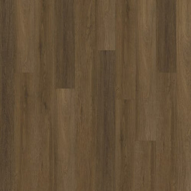 ProSolutions 12