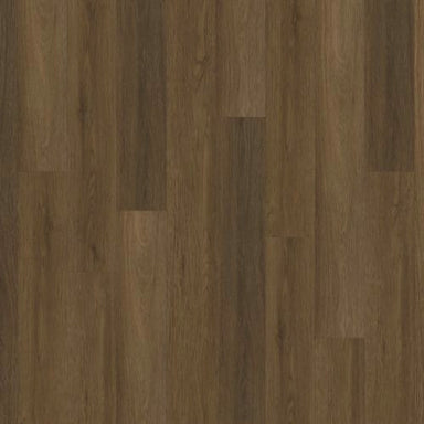 ProSolutions 20