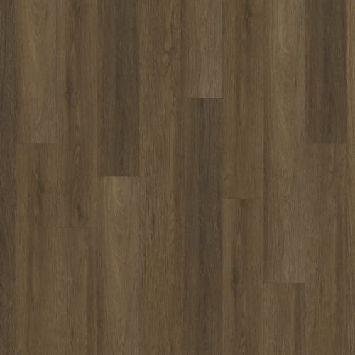 ProSolutions 20
