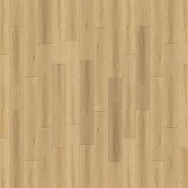 Fusion Design XL