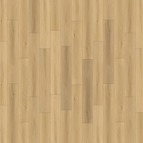 Fusion Design XL
