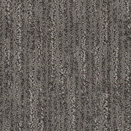 その他 STELLAR TIMES Stellar Impact Carpet Flooring by Chesapeake — Chesapeake Flooring